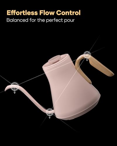 Gooseneck Electric Kettle