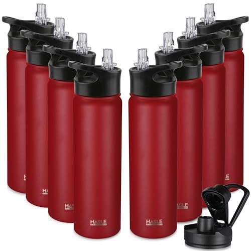 Insulated Water Bottle 22 oz Double Wall Stainless Steel Water Bottle Wide Mouth with Straw Lid & Spout Lid Keeps Cold or Hot