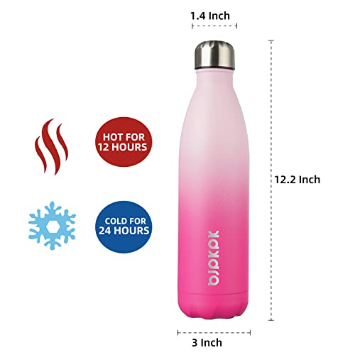 25 oz Insulated Water Bottle