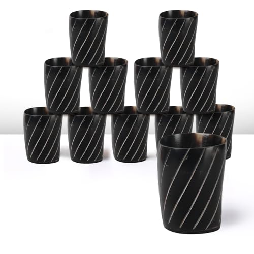 Viking Horn Shot Glasses Set of 12 (12 Count)