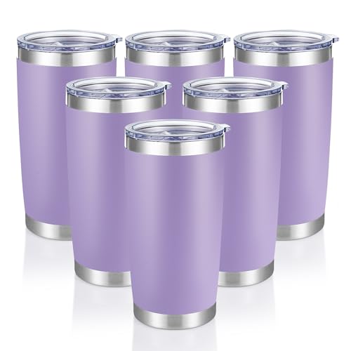 20 oz Tumblers Bulk Stainless Steel Tumbler with Lid (6 Count)