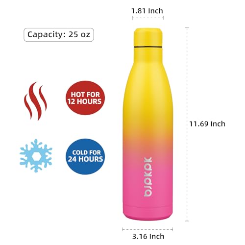 25 oz Insulated Stainless Steel Water Bottle