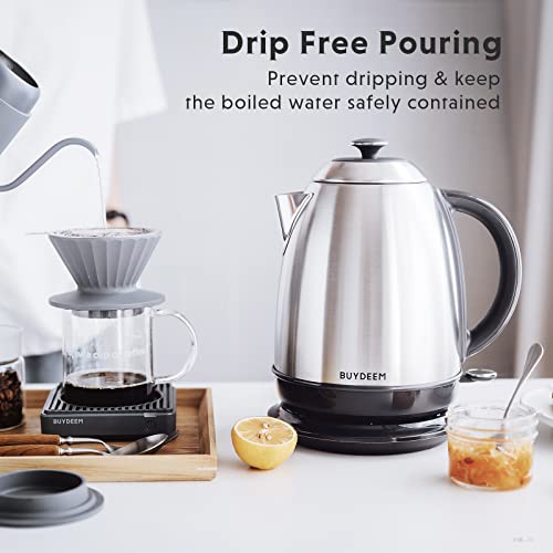 K640 Electric Tea Kettle