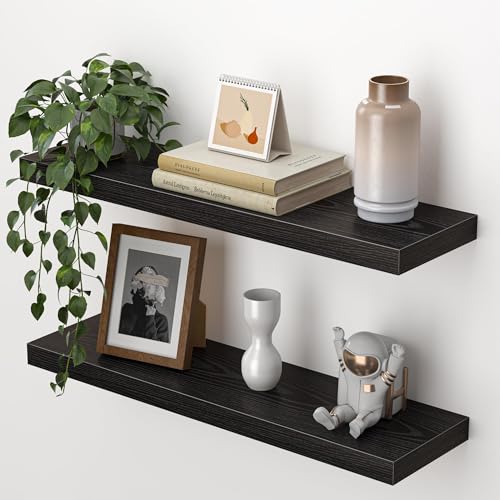 24 Inch Floating Shelves for Wall (2 Count)