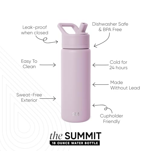 Insulated Water Bottle with Straw