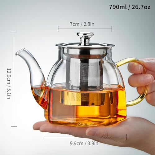 Glass Tea Pot with Stainless Steel Infuser and Lid