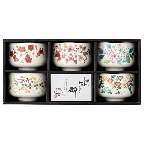 Japanese Traditional Handcrafted Matcha Chawan Tea Bowl Cup Set of 5 Ceremony Tableware Pottery