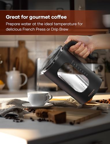Electric Tea Kettle with Infuser