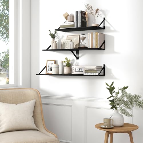 Deep Floating Shelves for Wall (2 Count)
