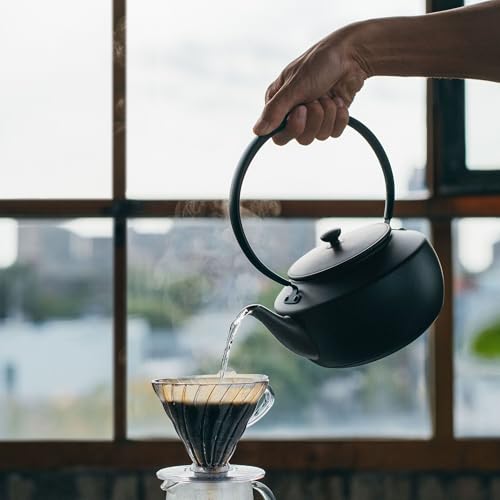 MoonKettle Electric Kettle with Temp Control