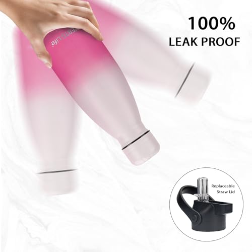Insulated Water Bottle (2 Count)