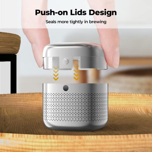 2 Pack 304 Stainless Steel Tea Infuser for Loose Leaf Tea (2 Count)
