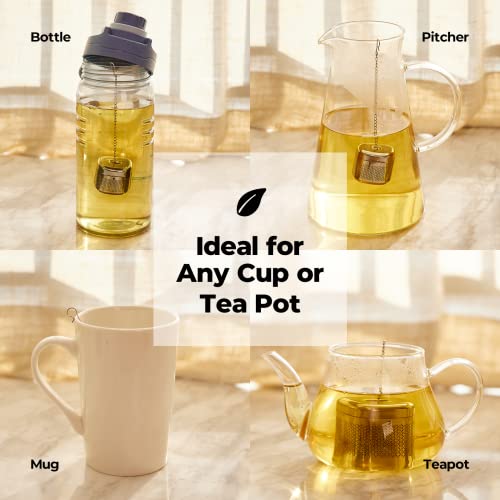 2 Pack 304 Stainless Steel Tea Infuser for Loose Leaf Tea (2 Count)