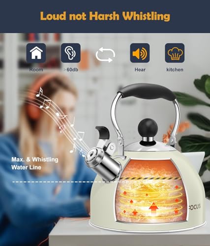 Tea Kettle 2 Quart Stainless Steel Whistling Tea Kettle