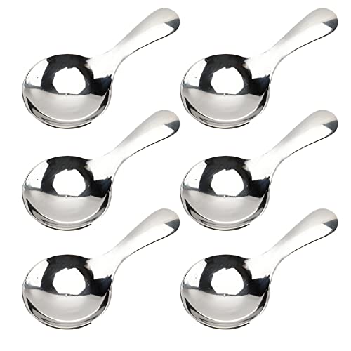 6 Piece Small Stainless Steel Spice Spoons (6 Count)