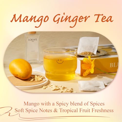 Mango Ginger Tea Bags 100ct (100 Count)