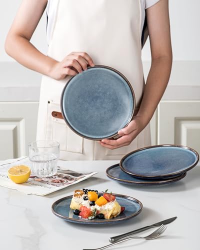 Ceramic Salad Plates Set of 4 (4 Count)