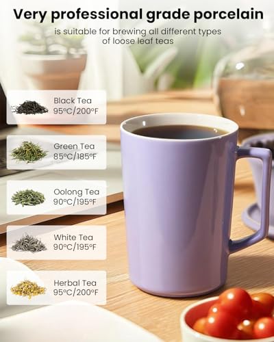 15 OZ Ceramic Tea Cup with Infuser and Lid