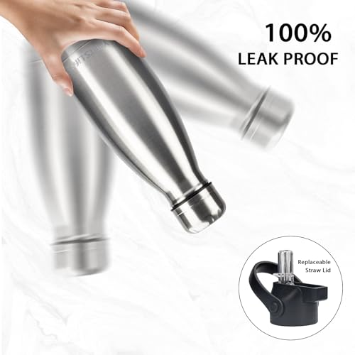 Insulated Water Bottle (2 Count)