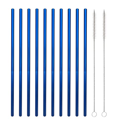 10 Pcs Stainless Steel Straws