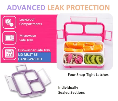 Small Snack Box Containers for Kids (3 Count)