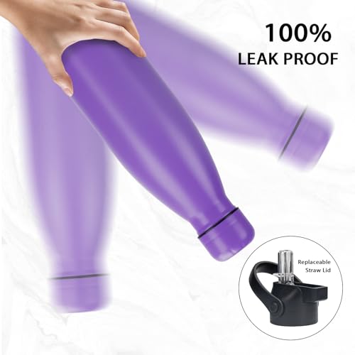 Insulated Water Bottle