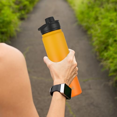 Insulated Water Bottle 22 oz Double Wall Stainless Steel Water Bottle Wide Mouth with Straw Lid & Spout Lid Keeps Cold or Hot