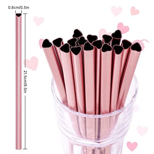 8.5” Heart Shaped Stainless Steel Straws Fit for Smoothie (16 Count)