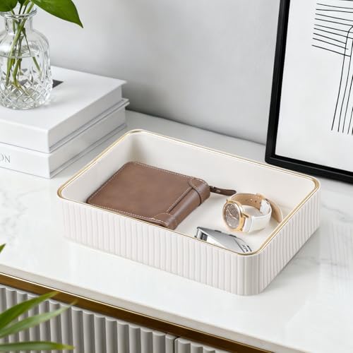 Desk Organizer Tray
