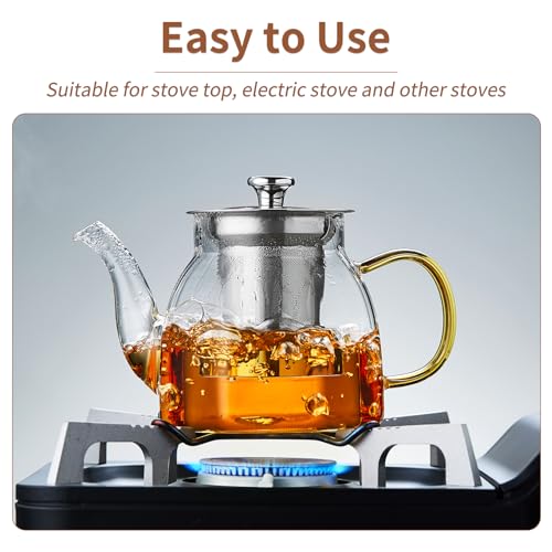 Glass Tea Pot with Stainless Steel Infuser and Lid