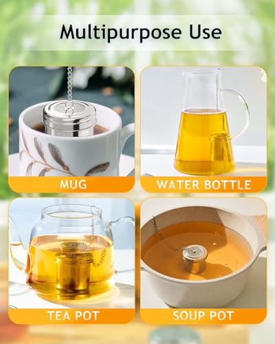 Tea Infuser 2 Pack with Scoop