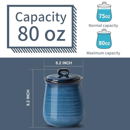 Ceramic Food Storage Jar with Airtight Lid (80 Fl Oz)