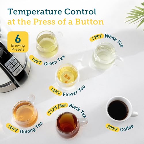 Electric Kettle with Temperature Control