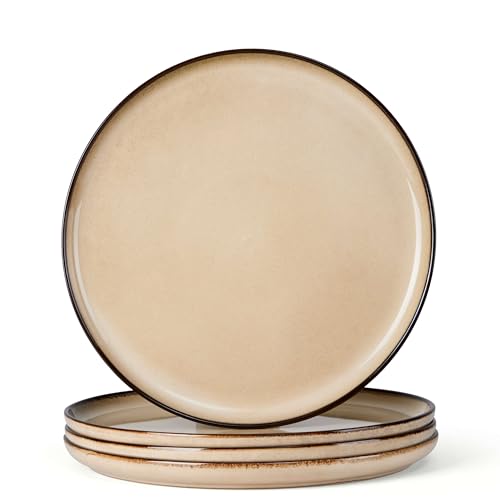 Ceramic 10.43 Inch Dinner Plates Set of 4 (4 Count)