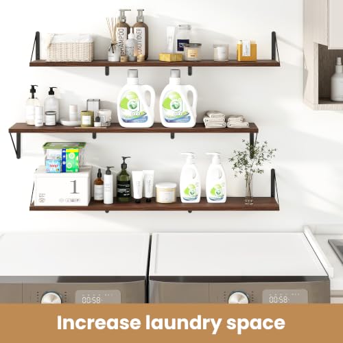 Floating Book Shelves for Wall (3 Count)