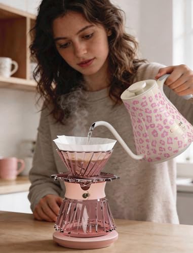 Gooseneck Electric Kettle