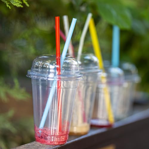 200 Pack Smoothie Straws (200 Count)