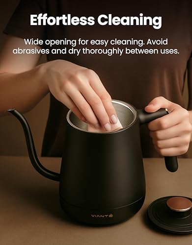 Viante Electric Gooseneck Kettle 0.8L