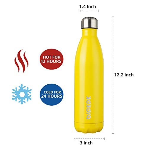 25 oz Insulated Water Bottle