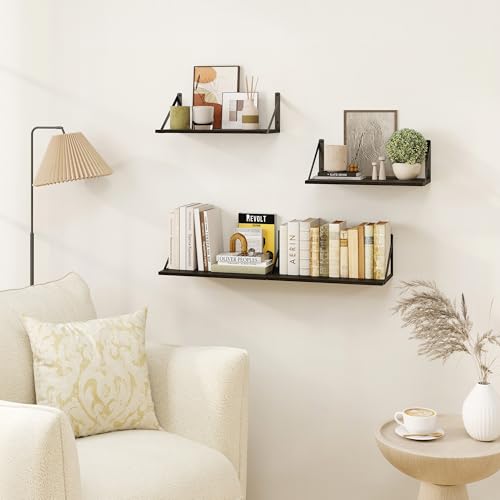 Black Deep Floating Shelves for Wall