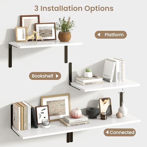 Floating Shelves for Wall (2 Count)