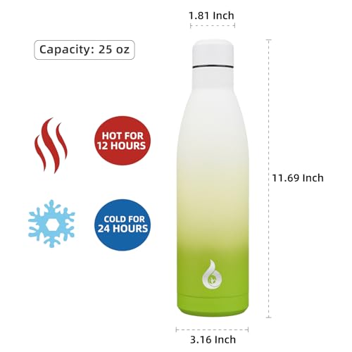 25 oz Insulated Stainless Steel Water Bottle