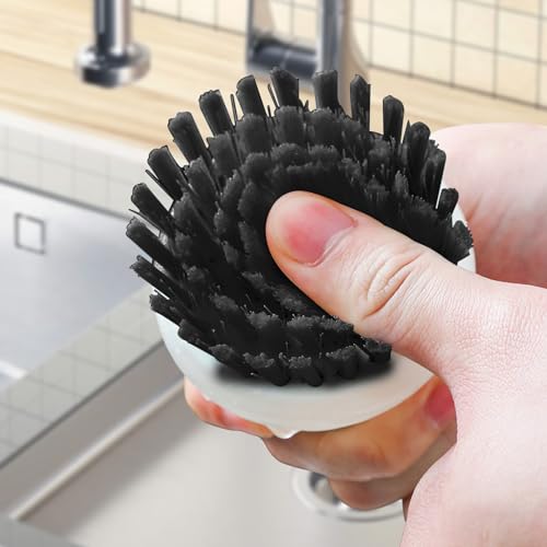 Dish Scrub Brush