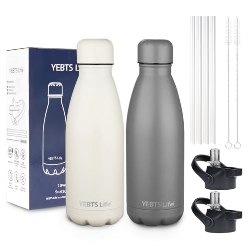 Insulated Water Bottle (2 Count)