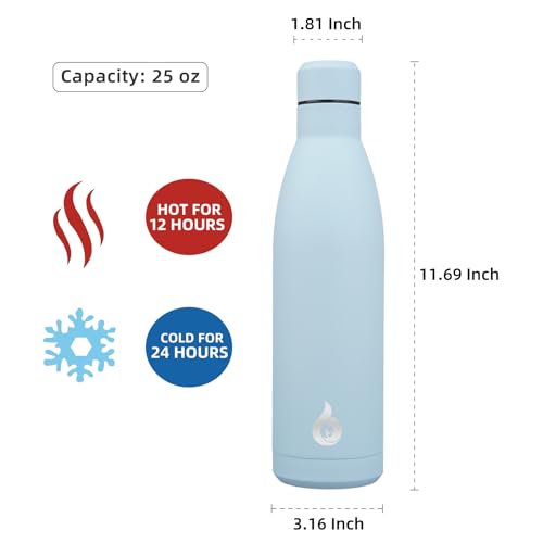 25 oz Insulated Stainless Steel Water Bottle