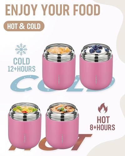 17oz Insulated Food Jar with Spoon