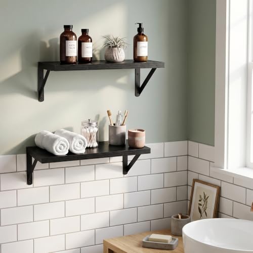 Wall Mounted Floating Shelves Set of 2 (2 Count)