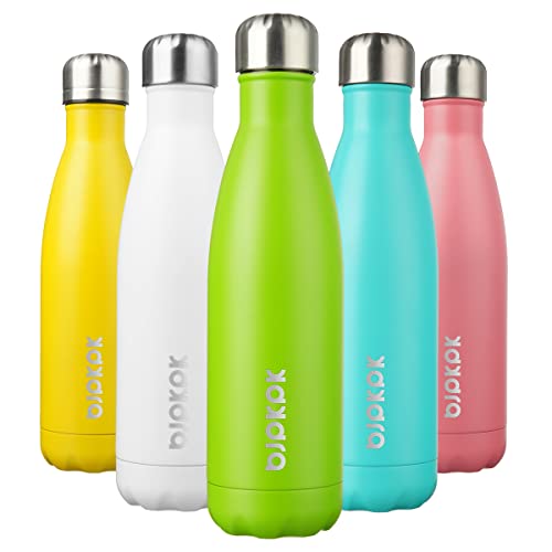 17 oz Insulated Water Bottle