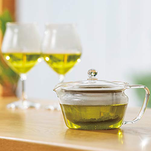 ChaCha Kyusu "Zen" Tea Pot
