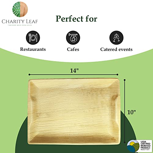 Disposable Bamboo 14" x 10" Trays (100 Count)